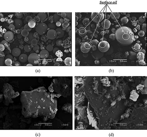 Sem Micrographs Of The Encapsulated Product A And B Obtained By