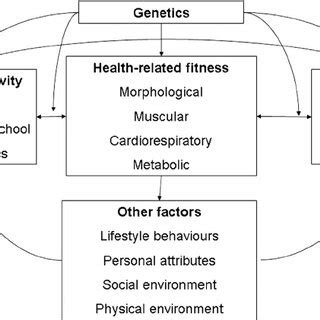 Fitness testing is a central and essential feature of all fitness training and will be used before training begins, during the training programme and again at. Model linking physical activity, health-related fitness ...