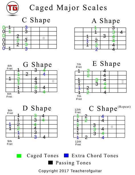 Caged Major Scales Chart In C Teacher Of Guitar