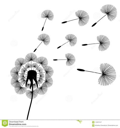 Black Dandelion Seeds Wind Summer Flying Fluffy Illustration Vector