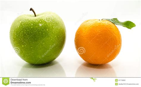 Apple And Oranges Stock Photo Image Of Comparing Contrasts 31719950