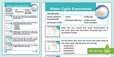 Water Cycle Experiment Water Cycle Stem Activity