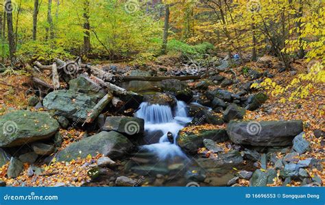 Autumn Creek Stock Image Image Of Pond Outdoor Foliage 16696553