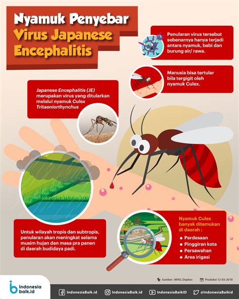 Nyamuk Penyebar Virus Japanese Encephalitis Indonesia Baik