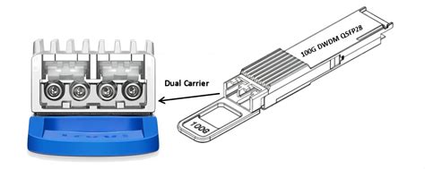 Can I Plug A 100g Qsfp Module Into A Qsfp Dd Port Fibermall