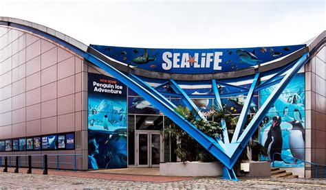 These vector logo designs are available now under a traditional rf license. National SEALIFE Centre - Visit Birmingham