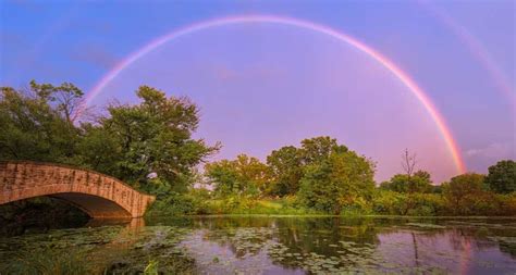 What Does Crossing The Rainbow Bridge Mean