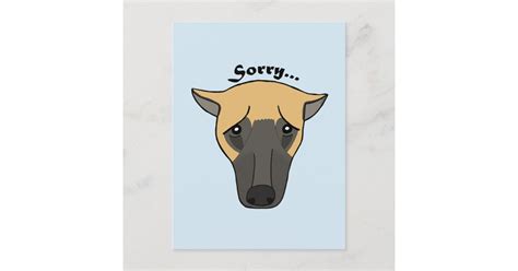 Sorry Card Im Sorry Postcard Cute Funny Dog Sorry