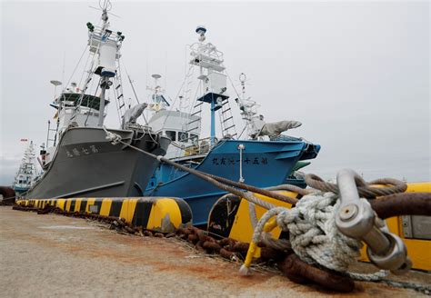 After 30 Years Japanese Ships Prepare To Resume Commercial Whaling
