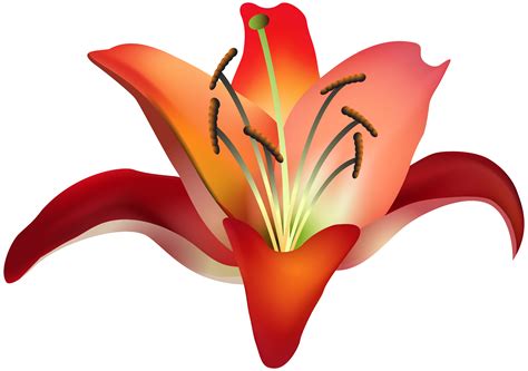The image is transparent png format with a resolution of 5328x6214 pixels, suitable for design use and personal projects. Red Flower PNG Clip Art Image | Gallery Yopriceville ...