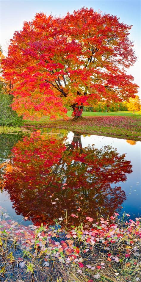 23 Fall Colors Reflection Wallpapers Wallpapersafari