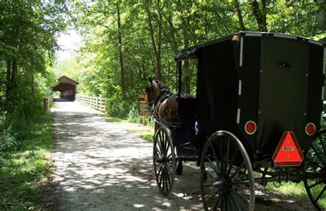 Maybe you would like to learn more about one of these? Sunset Ridge Log Cabins (Danville, OH) - Resort Reviews ...
