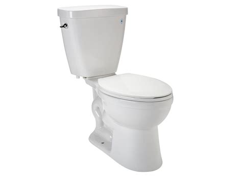 Delta Prelude C43901 Wh Toilet Consumer Reports