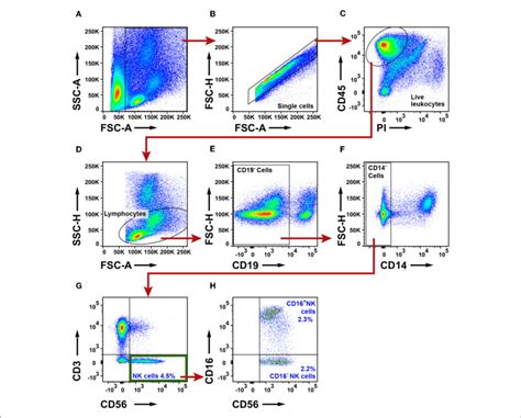 Preparation of human peripheral blood mononuclear cells (pbmc). | Flow cytometry analysis of NK cells in NSCLC tumors. (A ...