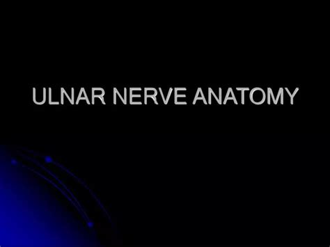 Ppt Ulnar Nerve Anatomy Powerpoint Presentation Free Download Id