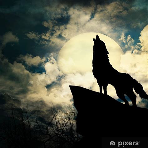 Heulender wolf und vollmond tattoo. Fototapete Wolf in der Silhouette heulend auf dem Vollmond ...