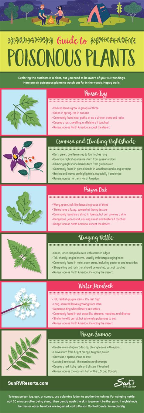 Guide To Poisonous Plants Infographic