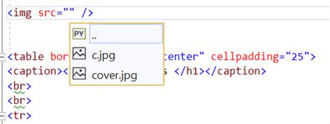 Visual Studio Using Html Images Not Displaying Stack Overflow