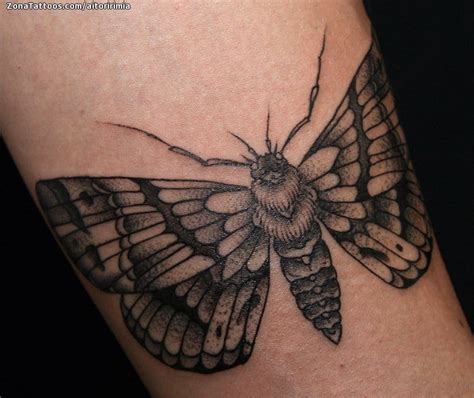 Tatuaje De Polillas Insectos