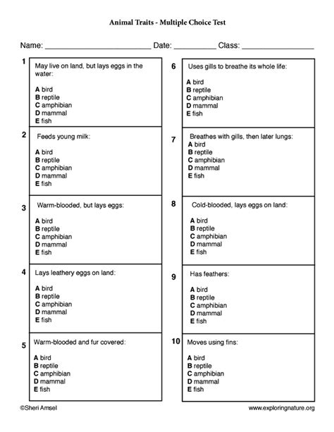 Easy Printable Multiple Choice Trivia 90s Trivia Questions And Vrogue