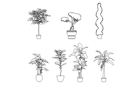 Dynamic Tree Plant Pots Elevation Blocks Cad Drawing Details Dwg File