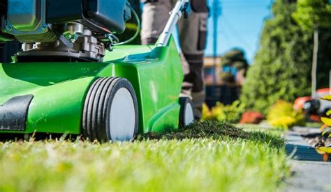 If it's not done, your grass will become very thin and will result in patches which aren't covered with grass. Dethatching vs. Aerating: Which Is Best for Your Lawn? - Crate and Basket