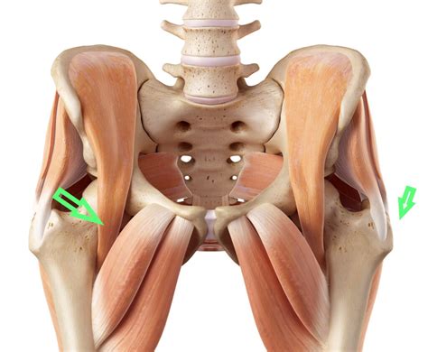 Snapping Hip Syndrome What Causes It And How Do We Treat It