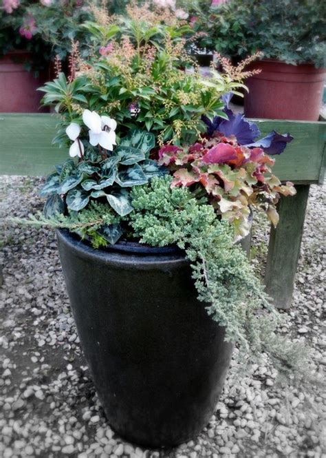 20 Best Fall And Winter Container Garden Ideas Images On