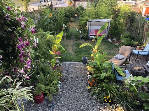 My Backyard Oasis 😊 Rgardening