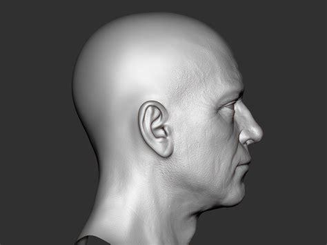 is this realism? zbrush head sculpt — polycount