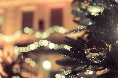 무료 이미지 크리스마스 장식 빛 하늘 크리스마스 트리 전나무 분기 소나무 가족 가문비 크리스마스 조명