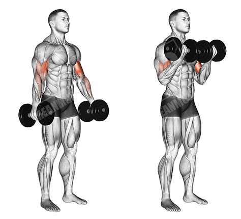 Full Body Kettlebell Workout Meanmuscles