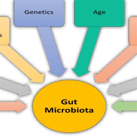 Factors Affecting Gut Microbiota Composition Download Scientific Diagram