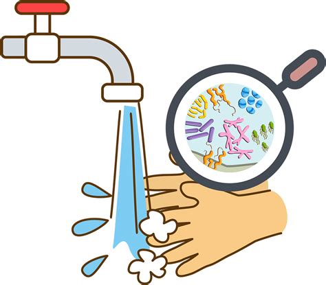 Download Wash Your Hands Clipart - Png Download (#5408571) - PinClipart png image