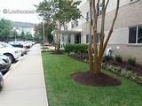 Images of University Gardens Apartments Adelphi Md