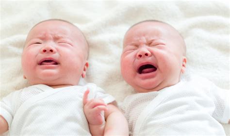Gene Variants That Increase Chance Of Non Identical Twins Identified