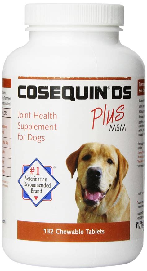 Are vitamin supplements necessary for dogs? 56 Most Popular Dog Supplements - Top Dog Tips
