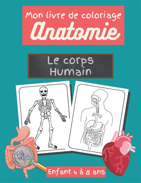 Buy Corps Humain Livre Coloriage Livre De Coloriage Anatomie Pour My
