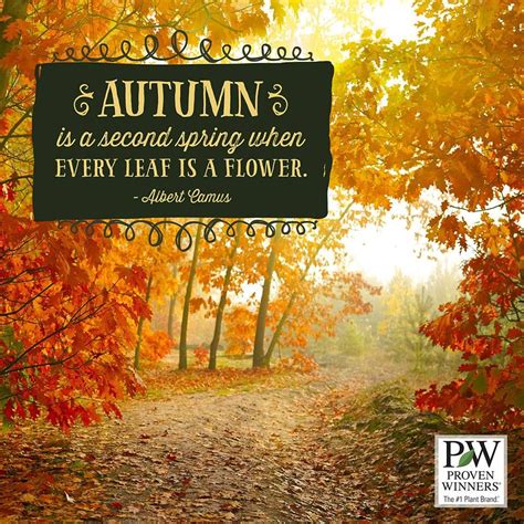 Pin By Mary Beth Hinz On Gardening Quotes Garden Quotes Fall Colors