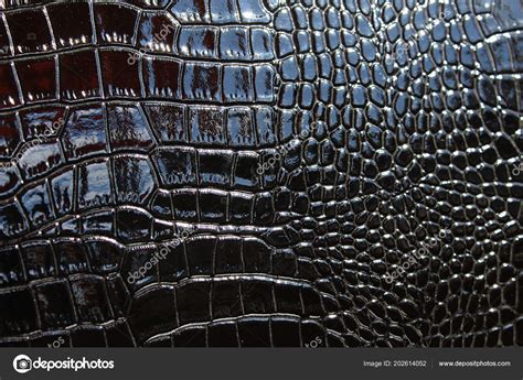 Texture Shiny Imitation Leather Black Snake Stock Photo By ©snezhana12