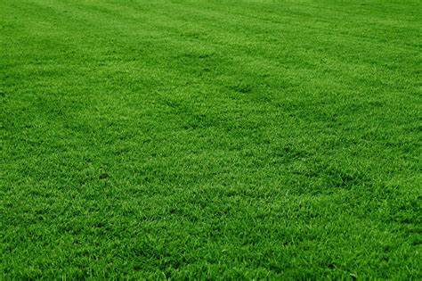 Mowing Grass Makes A Difference | Outdoor Designs