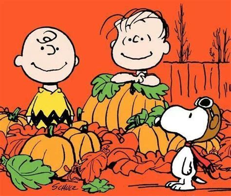 Pin By Judy Anderson On Peanuts Halloween Charlie Brown Halloween
