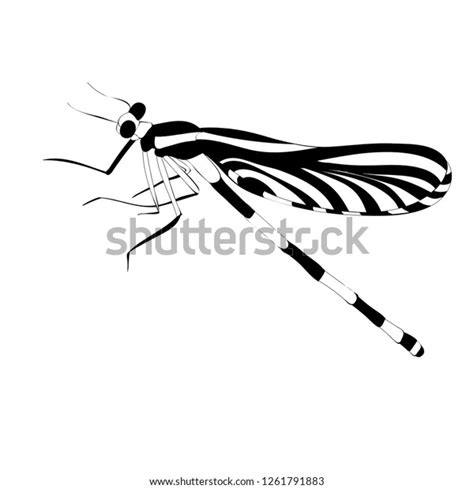Vector Isolated Silhouette Dragonfly Icon Stock Vector Royalty Free