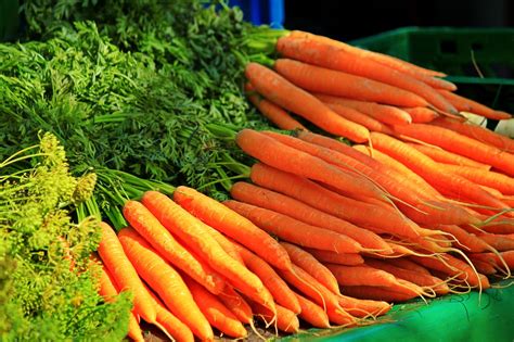 See full list on gardeningknowhow.com How Do You Know When Carrots Are Ready To Pick ...