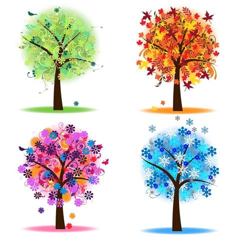Four Seasons Trees Clipart Clip Art Spring Summer Winter Fall Etsy
