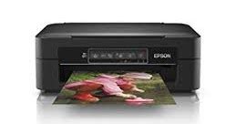 Instalar controlador de impresora y scanner. Epson XP-215 Driver Windows 7/8/10 - Download Printer Driver