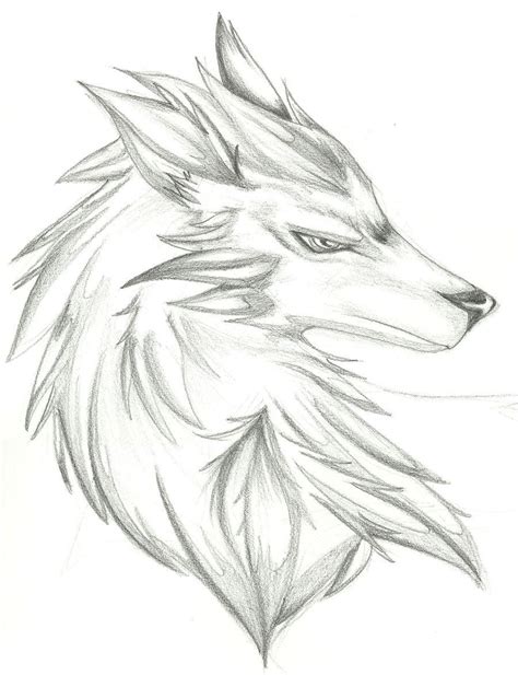 Pin By Halliekate Briggs On Good Views Animal Drawings Wolf Sketch