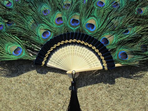 Large Peacock Feather Fan 20 By 36 Inches Made To Order Etsy