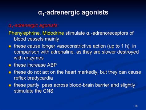 Adrenergic Agents презентация онлайн
