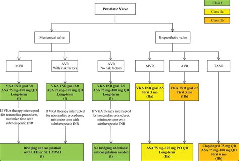 2014 Ahaacc Guideline For The Management Of Patients With Valvular